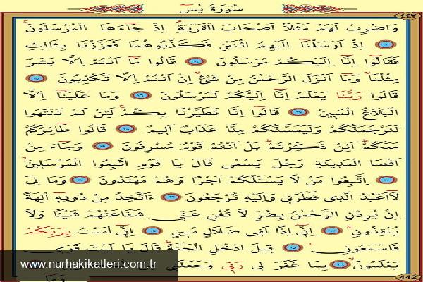 Yasin Suresi: Açıkladıran İçerik ve Esas Meal