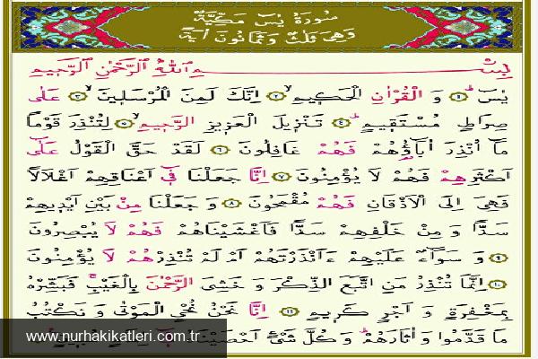 Yasin Suresi: Önemli Ayetler ve Fazileti Hakkında Derinlemesine Bilgi