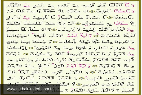 Yasin Suresi: Önemli Ayetler ve Fazileti Hakkında Derinlemesine Bilgi