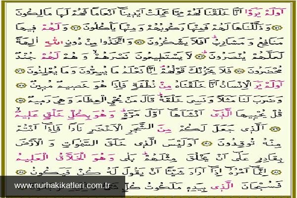 Yasin Suresi: Önemli Ayetler ve Fazileti Hakkında Derinlemesine Bilgi